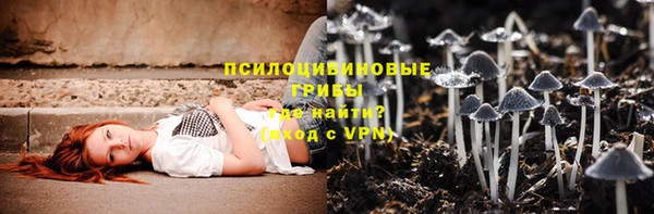 сатива Абинск